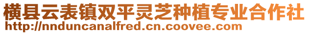 橫縣云表鎮(zhèn)雙平靈芝種植專業(yè)合作社
