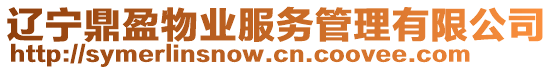 遼寧鼎盈物業(yè)服務(wù)管理有限公司