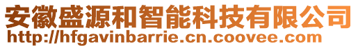 安徽盛源和智能科技有限公司