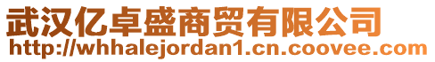 武漢億卓盛商貿有限公司