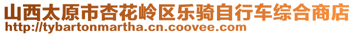 山西太原市杏花嶺區(qū)樂(lè)騎自行車綜合商店