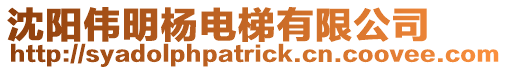 沈陽(yáng)偉明楊電梯有限公司