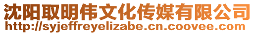 沈陽取明偉文化傳媒有限公司