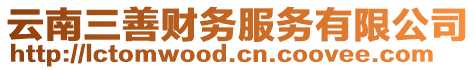 云南三善財務服務有限公司