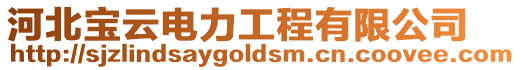 河北寶云電力工程有限公司