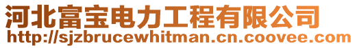 河北富寶電力工程有限公司