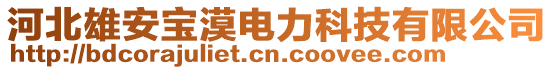 河北雄安寶漠電力科技有限公司