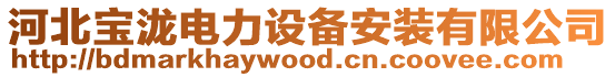 河北寶瀧電力設備安裝有限公司