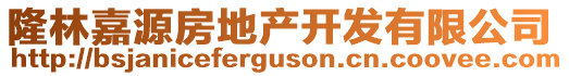 隆林嘉源房地產(chǎn)開發(fā)有限公司