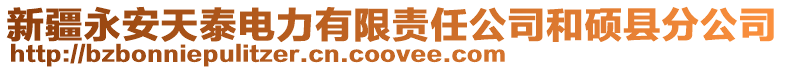 新疆永安天泰電力有限責任公司和碩縣分公司