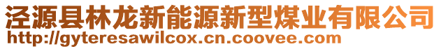 涇源縣林龍新能源新型煤業(yè)有限公司