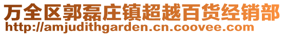 萬全區(qū)郭磊莊鎮(zhèn)超越百貨經(jīng)銷部