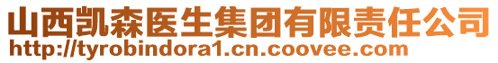 山西凱森醫(yī)生集團有限責(zé)任公司