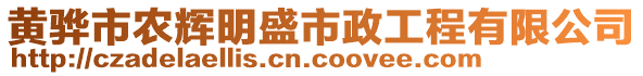 黃驊市農(nóng)輝明盛市政工程有限公司