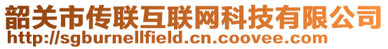 韶關(guān)市傳聯(lián)互聯(lián)網(wǎng)科技有限公司