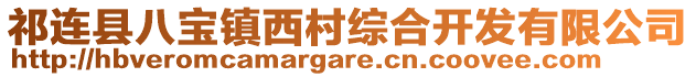 祁連縣八寶鎮(zhèn)西村綜合開(kāi)發(fā)有限公司