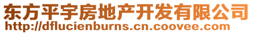 東方平宇房地產(chǎn)開發(fā)有限公司