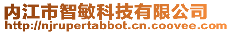 內江市智敏科技有限公司
