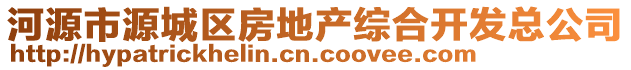 河源市源城區(qū)房地產(chǎn)綜合開發(fā)總公司