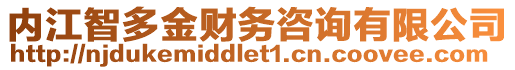 內(nèi)江智多金財務(wù)咨詢有限公司