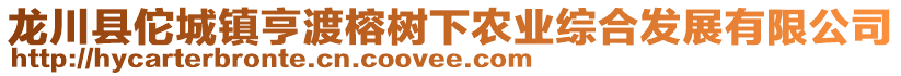 龍川縣佗城鎮(zhèn)亨渡榕樹(shù)下農(nóng)業(yè)綜合發(fā)展有限公司