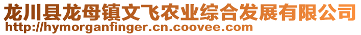 龍川縣龍母鎮(zhèn)文飛農(nóng)業(yè)綜合發(fā)展有限公司