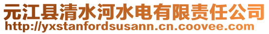 元江縣清水河水電有限責(zé)任公司