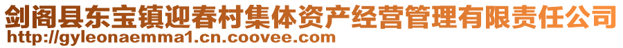 劍閣縣東寶鎮(zhèn)迎春村集體資產(chǎn)經(jīng)營管理有限責任公司