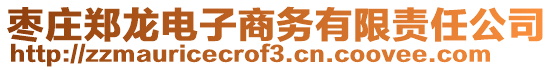 棗莊鄭龍電子商務(wù)有限責(zé)任公司