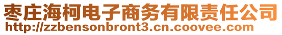 棗莊海柯電子商務(wù)有限責(zé)任公司