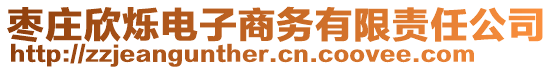 棗莊欣爍電子商務(wù)有限責(zé)任公司