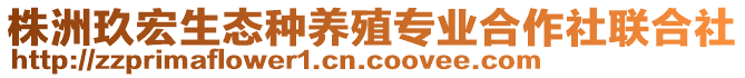 株洲玖宏生態(tài)種養(yǎng)殖專業(yè)合作社聯(lián)合社