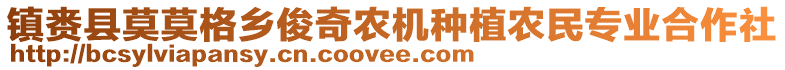 鎮(zhèn)賚縣莫莫格鄉(xiāng)俊奇農(nóng)機(jī)種植農(nóng)民專業(yè)合作社