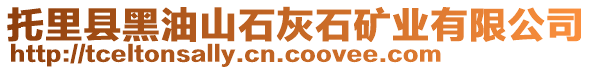 托里縣黑油山石灰石礦業(yè)有限公司