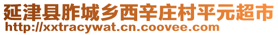 延津县胙城乡西辛庄村平元超市