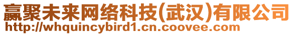 贏聚未來(lái)網(wǎng)絡(luò)科技(武漢)有限公司