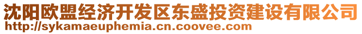 沈陽歐盟經(jīng)濟(jì)開發(fā)區(qū)東盛投資建設(shè)有限公司