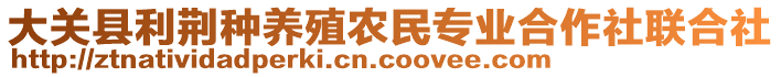 大關(guān)縣利荊種養(yǎng)殖農(nóng)民專業(yè)合作社聯(lián)合社