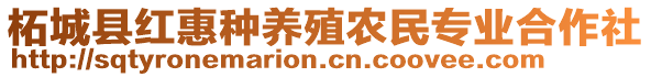 柘城縣紅惠種養(yǎng)殖農(nóng)民專業(yè)合作社