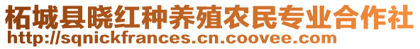 柘城縣曉紅種養(yǎng)殖農(nóng)民專業(yè)合作社