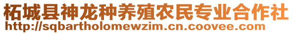 柘城縣神龍種養(yǎng)殖農(nóng)民專業(yè)合作社