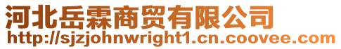 河北岳霖商貿有限公司
