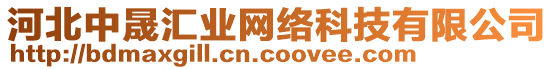 河北中晟匯業(yè)網(wǎng)絡(luò)科技有限公司