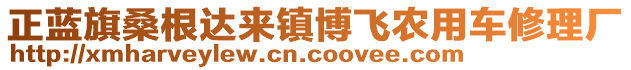 正藍(lán)旗桑根達(dá)來鎮(zhèn)博飛農(nóng)用車修理廠