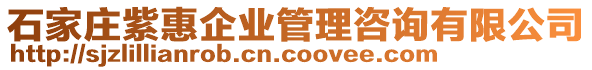 石家莊紫惠企業(yè)管理咨詢有限公司