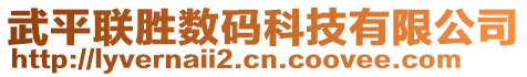 武平聯(lián)勝數(shù)碼科技有限公司