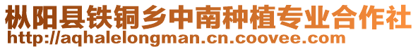 樅陽縣鐵銅鄉中南種植專業合作社