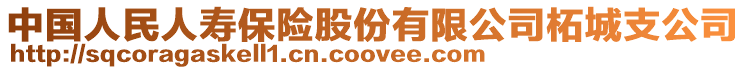 中國人民人壽保險股份有限公司柘城支公司