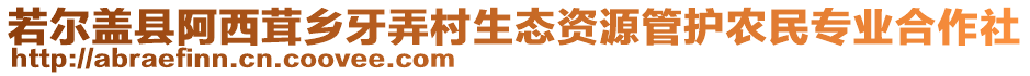 若爾蓋縣阿西茸鄉(xiāng)牙弄村生態(tài)資源管護農(nóng)民專業(yè)合作社