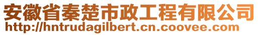 安徽省秦楚市政工程有限公司